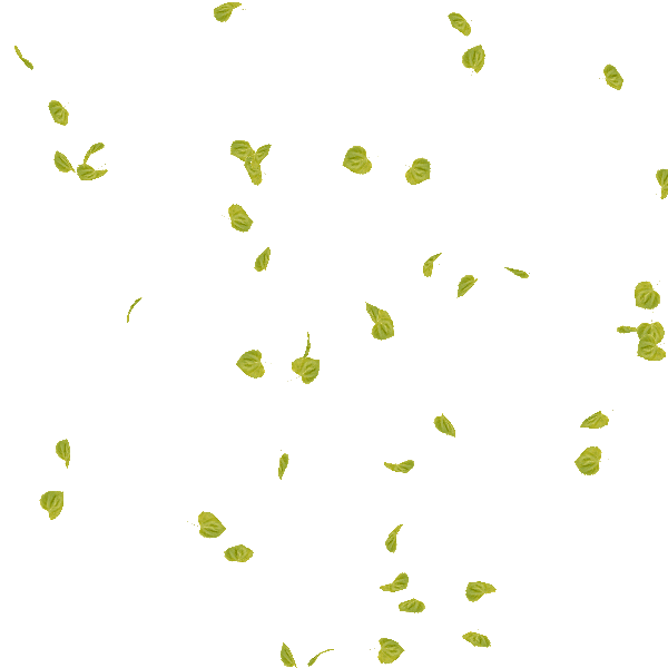 no-image.jpg